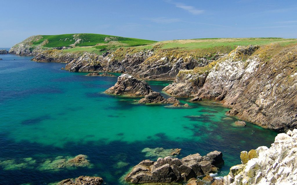 Saltee Islands June bank holiday @ Saltee Islands | County Wexford | Ireland